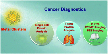 Graphical abstract: Peptide and protein modified metal clusters for cancer diagnostics