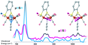 Graphical abstract: Vibrational characterization of a diiron bridging hydride complex – a model for hydrogen catalysis