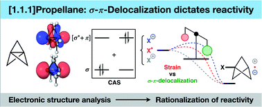 Graphical abstract: Rationalizing the diverse reactivity of [1.1.1]propellane through σ–π-delocalization