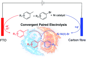 Graphical abstract: Nickel catalysis enables convergent paired electrolysis for direct arylation of benzylic C–H bonds