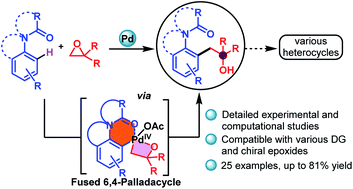 Graphical abstract: Palladium-catalyzed synthesis of β-hydroxy compounds via a strained 6,4-palladacycle from directed C–H activation of anilines and C–O insertion of epoxides