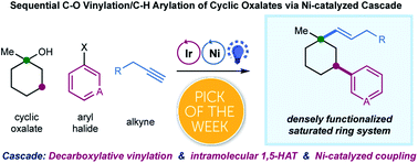 Graphical abstract: Sequential C–O decarboxylative vinylation/C–H arylation of cyclic oxalates via a nickel-catalyzed multicomponent radical cascade