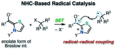 Graphical abstract: Recent advances in N-heterocyclic carbene-based radical catalysis