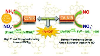 Graphical abstract: The role of porphyrin peripheral substituents in determining the reactivities of ferrous nitrosyl species