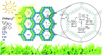 Graphical abstract: Integrating single Ni sites into biomimetic networks of covalent organic frameworks for selective photoreduction of CO2