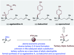 Graphical abstract: Regioselective molybdenum-catalyzed allylic substitution of tertiary allylic electrophiles: methodology development and applications