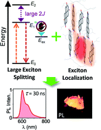 Graphical abstract: Safeguarding long-lived excitons from excimer traps in H-aggregated dye-assemblies