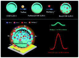 Graphical abstract: Covalent organic frameworks as micro-reactors: confinement-enhanced electrochemiluminescence