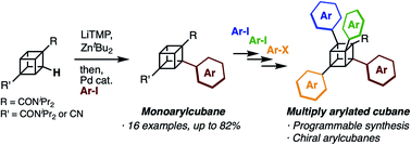 Graphical abstract: Programmable synthesis of multiply arylated cubanes through C–H metalation and arylation