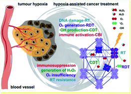 Graphical abstract: Biomimetic nanoscale metal–organic framework harnesses hypoxia for effective cancer radiotherapy and immunotherapy