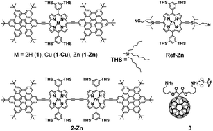 Graphical abstract: Panchromatic light funneling through the synergy in hexabenzocoronene–(metallo)porphyrin–fullerene assemblies to realize the separation of charges