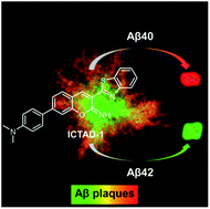 Graphical abstract: Differentiating Aβ40 and Aβ42 in amyloid plaques with a small molecule fluorescence probe