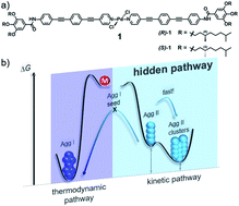 Graphical abstract: Consequences of hidden kinetic pathways on supramolecular polymerization
