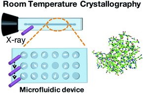 Graphical abstract: Room-temperature crystallography using a microfluidic protein crystal array device and its application to protein–ligand complex structure analysis