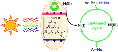 Graphical abstract: Solar-driven tandem photoredox nickel-catalysed cross-coupling using modified carbon nitride