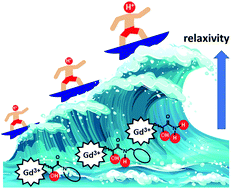 Graphical abstract: Acid-catalyzed proton exchange as a novel approach for relaxivity enhancement in Gd-HPDO3A-like complexes