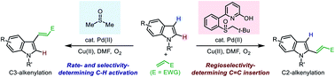 Graphical abstract: Regiocontrol in the oxidative Heck reaction of indole by ligand-enabled switch of the regioselectivity-determining step