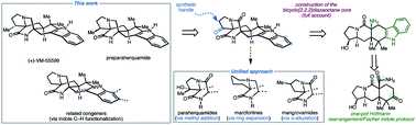 Graphical abstract: A unified strategy to reverse-prenylated indole alkaloids: total syntheses of preparaherquamide, premalbrancheamide, and (+)-VM-55599