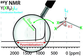 Graphical abstract: Electronegativity and location of anionic ligands drive yttrium NMR for molecular, surface and solid-state structures