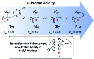 Graphical abstract: Unusually high α-proton acidity of prolyl residues in cyclic peptides