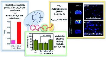 Graphical abstract: Metal-chelating benzothiazole multifunctional compounds for the modulation and 64Cu PET imaging of Aβ aggregation