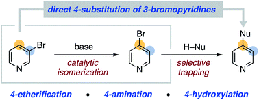 Graphical abstract: Base-catalyzed aryl halide isomerization enables the 4-selective substitution of 3-bromopyridines