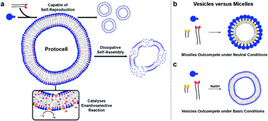 Graphical abstract: Dissipative self-assembly, competition and inhibition in a self-reproducing protocell model