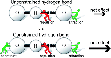 Graphical abstract: Large transition state stabilization from a weak hydrogen bond