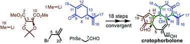 Graphical abstract: Total synthesis of crotophorbolone