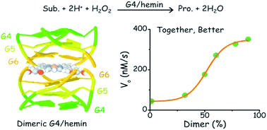Graphical abstract: The noncovalent dimerization of a G-quadruplex/hemin DNAzyme improves its biocatalytic properties