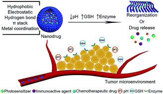 Graphical abstract: Tumor microenvironment-oriented adaptive nanodrugs based on peptide self-assembly