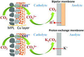Graphical abstract: Role of ion-selective membranes in the carbon balance for CO2 electroreduction via gas diffusion electrode reactor designs