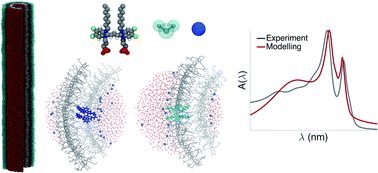 Graphical abstract: Multiscale modeling of molecular structure and optical properties of complex supramolecular aggregates