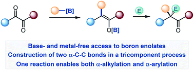 Graphical abstract: Deoxygenative α-alkylation and α-arylation of 1,2-dicarbonyls
