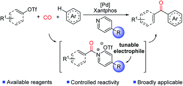 Graphical abstract: Palladium catalyzed carbonylative generation of potent, pyridine-based acylating electrophiles for the functionalization of arenes to ketones