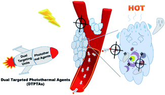 Graphical abstract: Dual-targeted photothermal agents for enhanced cancer therapy