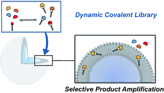 Graphical abstract: Template effects of vesicles in dynamic covalent chemistry