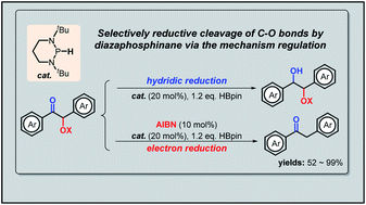 Graphical abstract: Diazaphosphinyl radical-catalyzed deoxygenation of α-carboxy ketones: a new protocol for chemo-selective C–O bond scission via mechanism regulation