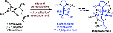 Graphical abstract: Synthetic studies toward longeracemine: a SmI2-mediated spirocyclization and rearrangement cascade to construct the 2-azabicyclo[2.2.1]heptane framework