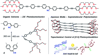 Graphical abstract: Solvent-controlled E/Z isomerization vs. [2 + 2] photocycloaddition mediated by supramolecular polymerization