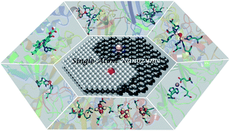 Graphical abstract: Atomic engineering of single-atom nanozymes for enzyme-like catalysis