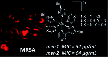 Graphical abstract: Triazole-based osmium(ii) complexes displaying red/near-IR luminescence: antimicrobial activity and super-resolution imaging