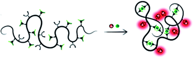 Graphical abstract: Heterobimetallic Eu(iii)/Pt(ii) single-chain nanoparticles: a path to enlighten catalytic reactions