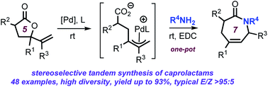 Graphical abstract: Pd-catalyzed stereoselective tandem ring-opening amination/cyclization of vinyl γ-lactones: access to caprolactam diversity