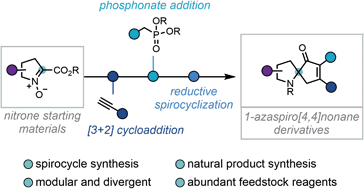 Graphical abstract: A modular and divergent approach to spirocyclic pyrrolidines