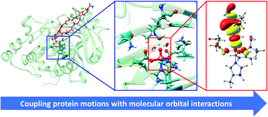 Graphical abstract: Catalysis by the JmjC histone demethylase KDM4A integrates substrate dynamics, correlated motions and molecular orbital control