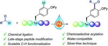 Graphical abstract: Site-selective aqueous C–H acylation of tyrosine-containing oligopeptides with aldehydes