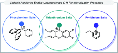 Graphical abstract: Late stage C–H functionalization via chalcogen and pnictogen salts