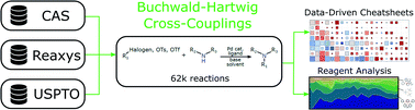 Graphical abstract: What can reaction databases teach us about Buchwald–Hartwig cross-couplings?