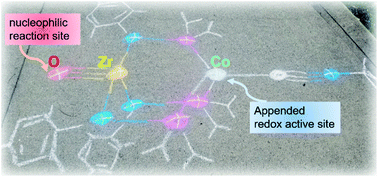 Graphical abstract: Redox chemistry and H-atom abstraction reactivity of a terminal zirconium(iv) oxo compound mediated by an appended cobalt(i) center